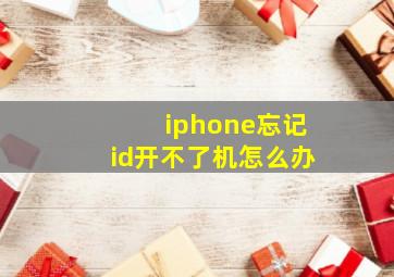 iphone忘记id开不了机怎么办