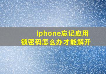 iphone忘记应用锁密码怎么办才能解开