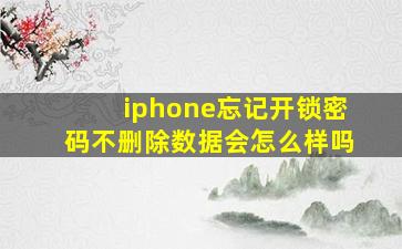 iphone忘记开锁密码不删除数据会怎么样吗