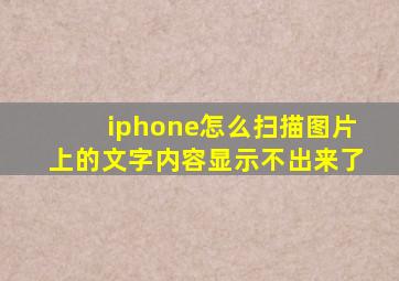 iphone怎么扫描图片上的文字内容显示不出来了