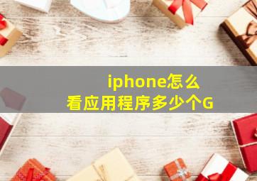 iphone怎么看应用程序多少个G