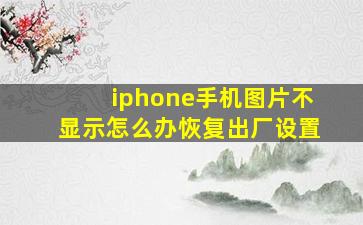 iphone手机图片不显示怎么办恢复出厂设置