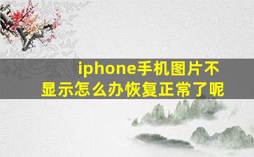 iphone手机图片不显示怎么办恢复正常了呢