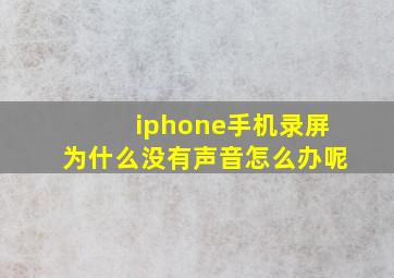 iphone手机录屏为什么没有声音怎么办呢