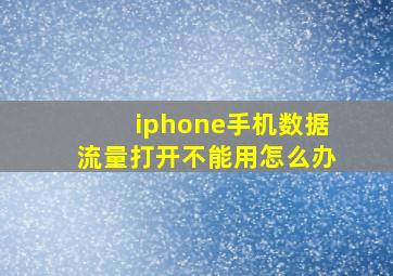 iphone手机数据流量打开不能用怎么办