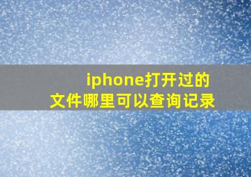 iphone打开过的文件哪里可以查询记录