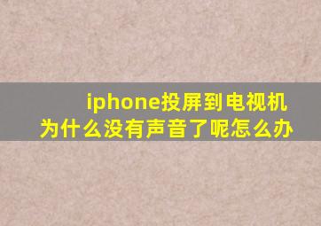 iphone投屏到电视机为什么没有声音了呢怎么办