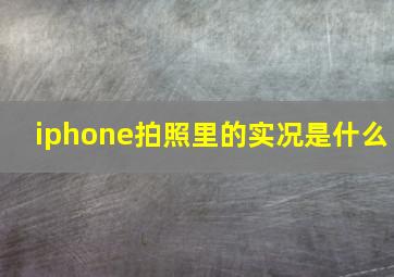 iphone拍照里的实况是什么