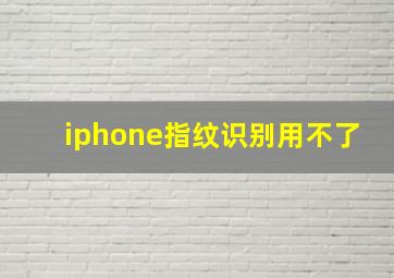 iphone指纹识别用不了