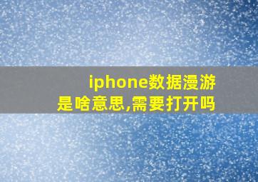 iphone数据漫游是啥意思,需要打开吗