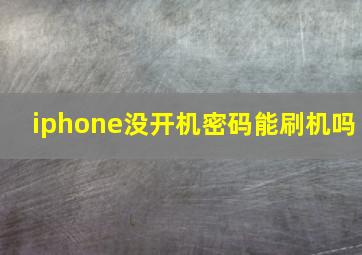 iphone没开机密码能刷机吗