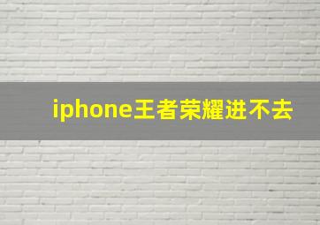 iphone王者荣耀进不去