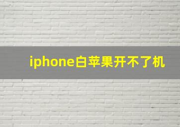 iphone白苹果开不了机