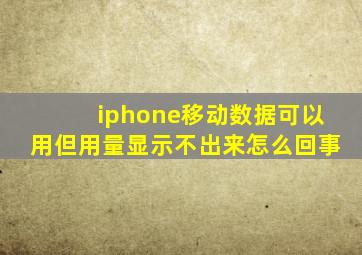 iphone移动数据可以用但用量显示不出来怎么回事