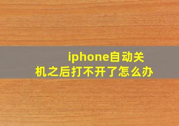 iphone自动关机之后打不开了怎么办