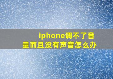 iphone调不了音量而且没有声音怎么办