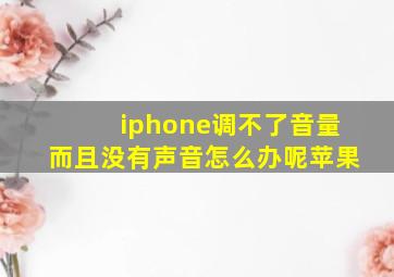 iphone调不了音量而且没有声音怎么办呢苹果