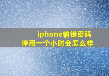 iphone输错密码停用一个小时会怎么样