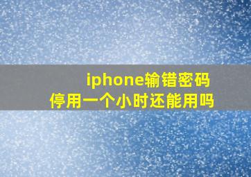 iphone输错密码停用一个小时还能用吗