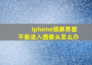 iphone锁屏界面不能进入摄像头怎么办