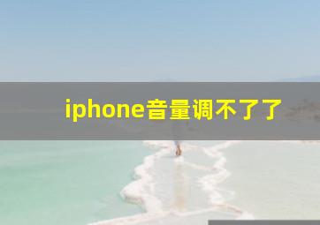 iphone音量调不了了