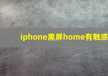 iphone黑屏home有触感