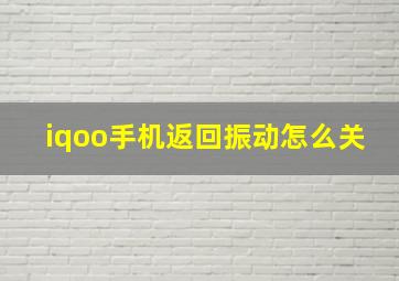 iqoo手机返回振动怎么关