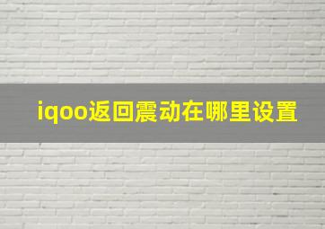 iqoo返回震动在哪里设置