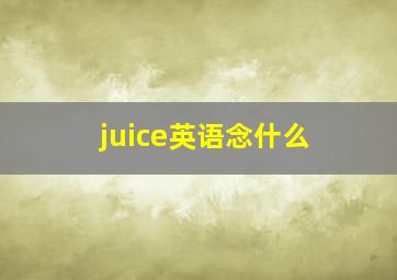 juice英语念什么