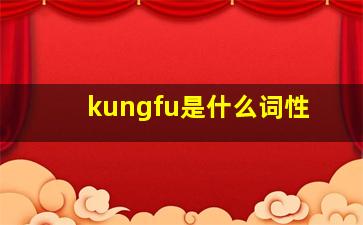 kungfu是什么词性