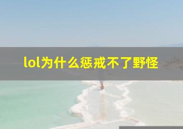 lol为什么惩戒不了野怪