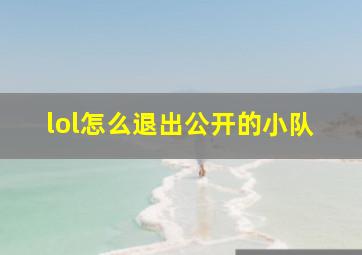 lol怎么退出公开的小队