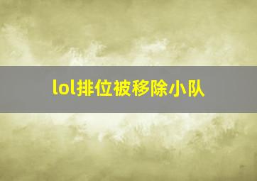 lol排位被移除小队