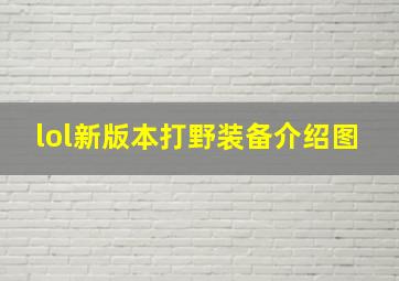 lol新版本打野装备介绍图