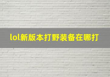 lol新版本打野装备在哪打