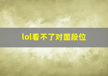 lol看不了对面段位