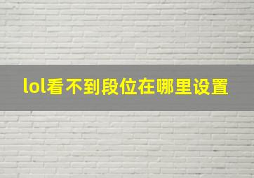 lol看不到段位在哪里设置