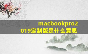 macbookpro2019定制版是什么意思