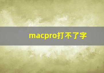 macpro打不了字