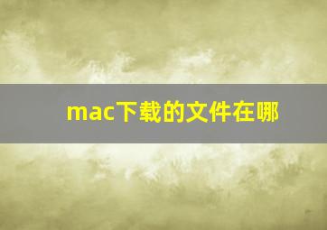 mac下载的文件在哪