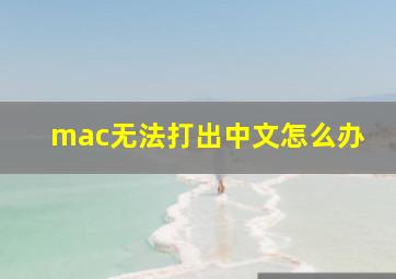 mac无法打出中文怎么办