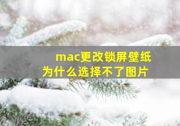 mac更改锁屏壁纸为什么选择不了图片