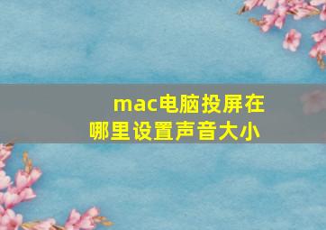 mac电脑投屏在哪里设置声音大小