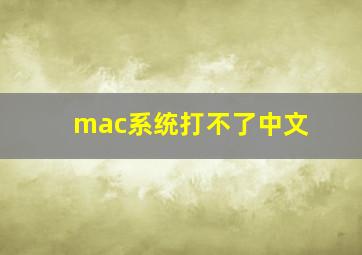 mac系统打不了中文