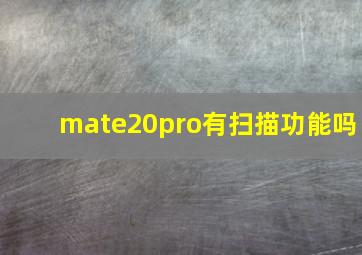 mate20pro有扫描功能吗