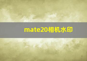 mate20相机水印