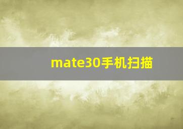 mate30手机扫描