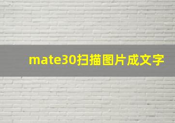 mate30扫描图片成文字