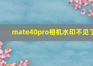 mate40pro相机水印不见了