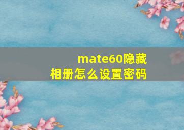 mate60隐藏相册怎么设置密码